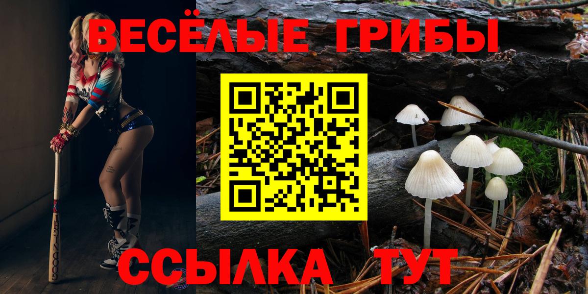 цены наркотик  Галлюциногенные грибы ЛСД  Псилоцибиновые грибы ЛСД  Вход с VPN  Серпухов 